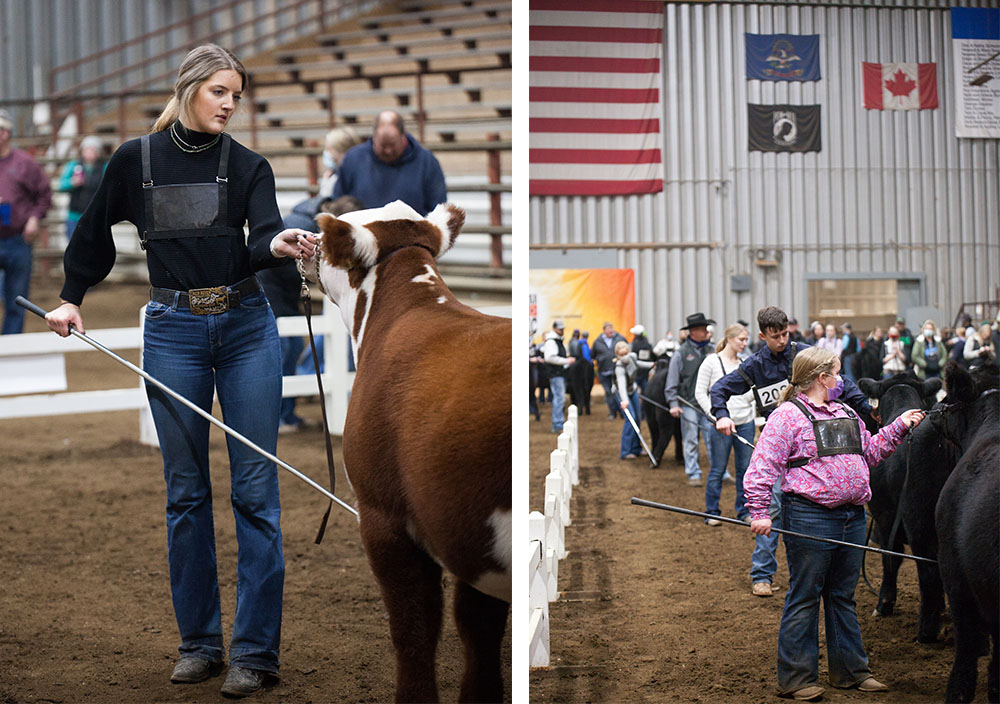 North Star Classic Livestock Show